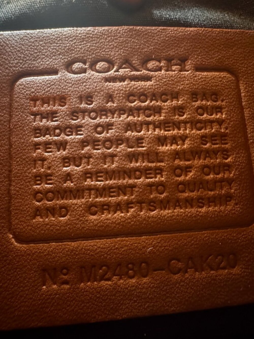 Coach Charter Crossbody Bag 24 With Sketch Print CAK20 In Black Mult | BNWT - Picture 12 of 12
